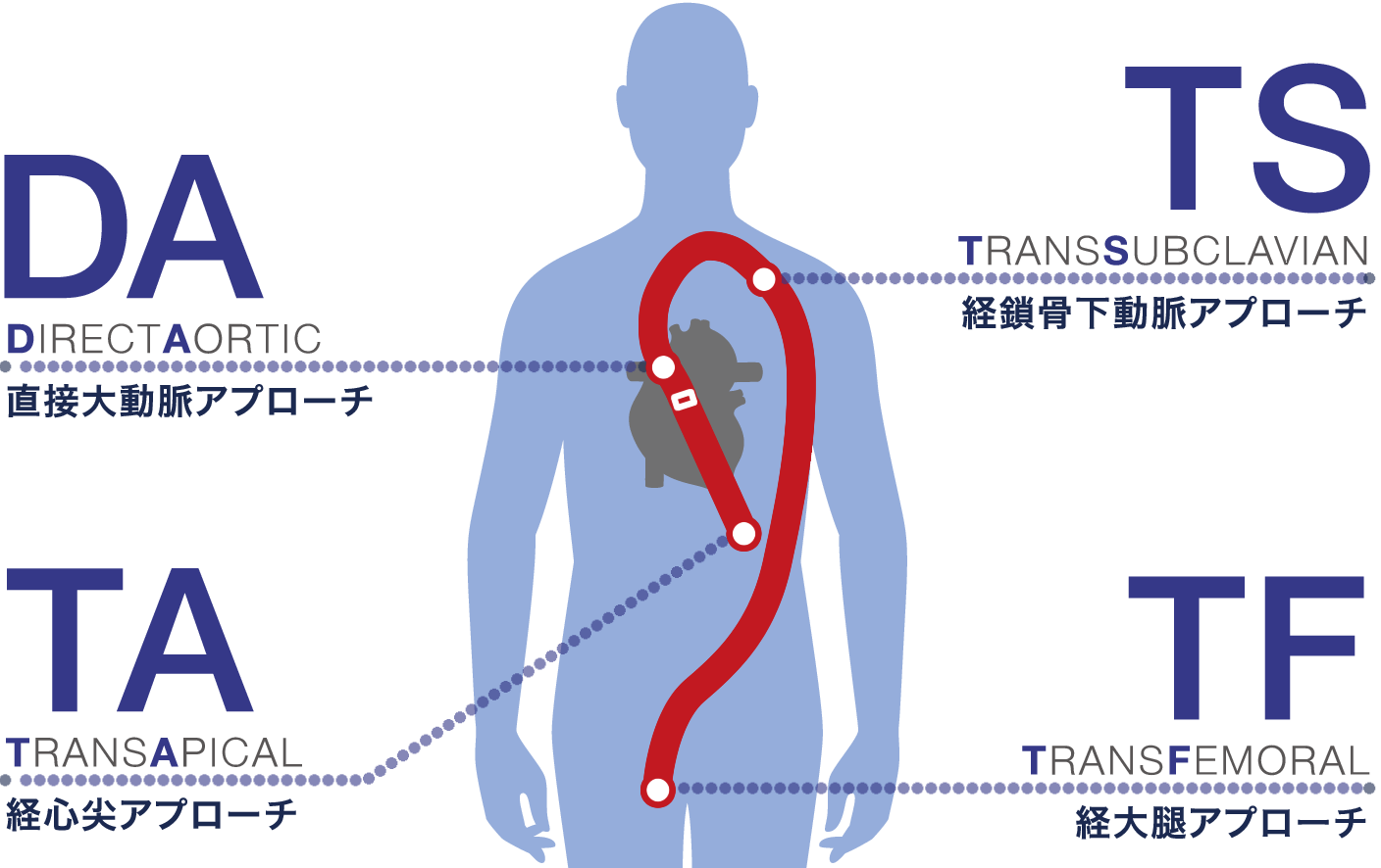 略語 心 エコー リハビリスタッフがこれだけは知っておきたい心エコーの検査所見の読み方！